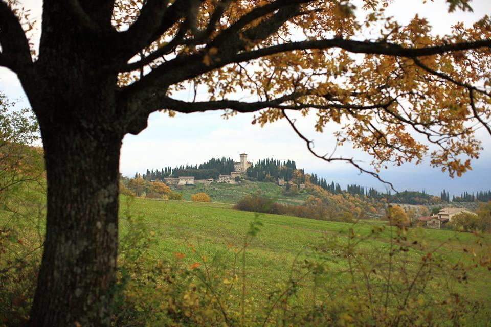 Inn Hotel Barberino di Mugello Buitenkant foto